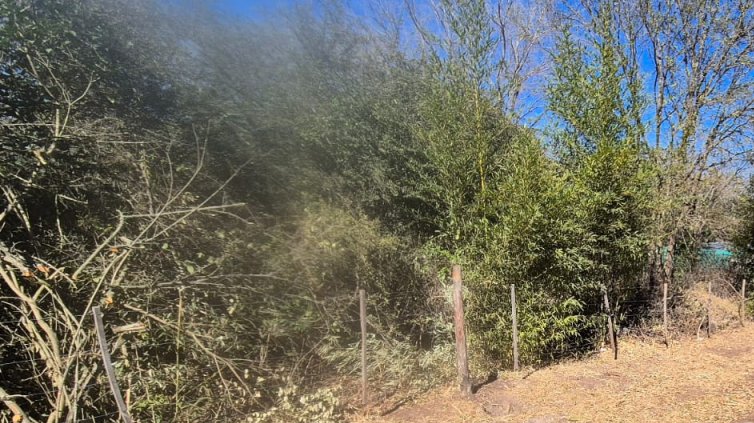 WhatsApp Image 2025-08-26 at 11.37.59 (1).jpeg